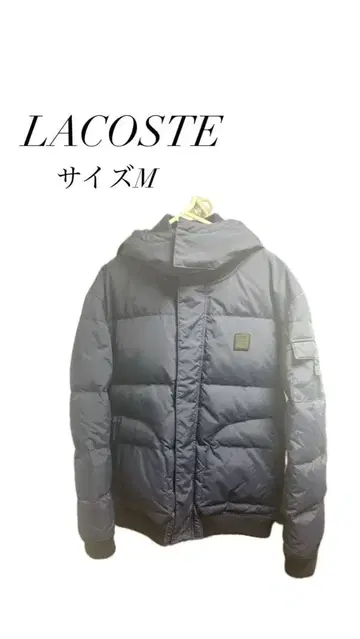 라코스테 다운 네이비