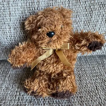 브라운 곰 봉제 인형 손바닥 사이즈