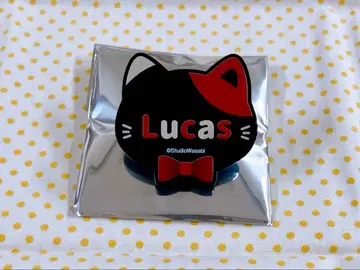 악마 집사와 검은 고양이 아쿠네코 루카스 난자타운 네임 배지 배지