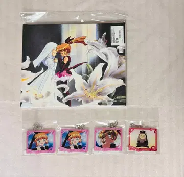 세인트 테일 캔버스 보드 아크릴 키링