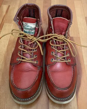레어 레드윙 REDWING 개택 23cm
