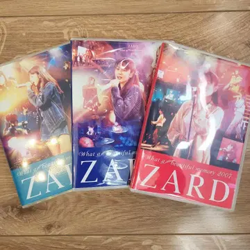ZARD What a beautiful memory 3장