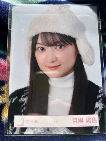 메구로 히이로 브로마이드 겨울 의류 사쿠라자카46