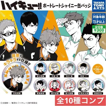 하이큐!! 포트레이트 샤이니 캔뱃지 전 10종 컴플리트