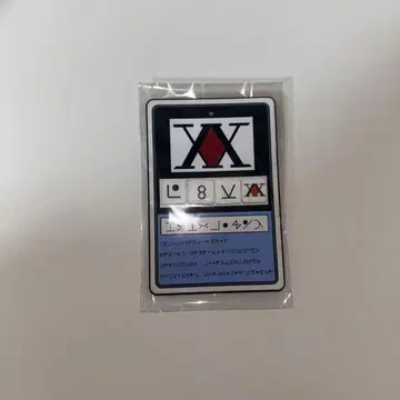 HUNTER x HUNTER 헌터 라이선스 네임 키링 히소카