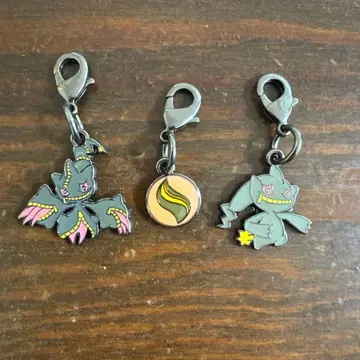 메가 입치트 메탈 참 메가진화 입치트