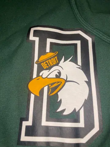 챔피온 리버스 DETROIT EAGLE 후드 맨투맨 그린 XL