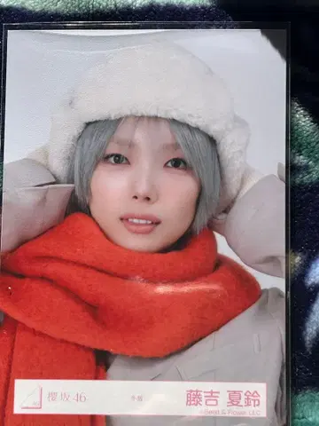 사쿠라자카46 후지요시 카린 겨울 의류 브로마이드