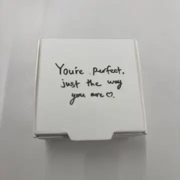 Stray Kids 5-STAR Dome Tour 2023 반지