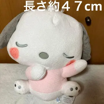 포차코 쌔근쌔근 꿈 봉제 인형 산리오