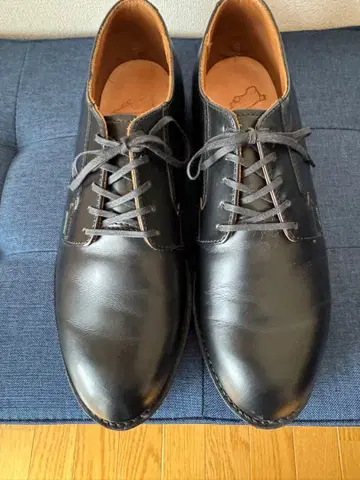 레드윙 포스트맨 101 us 10 일본 28