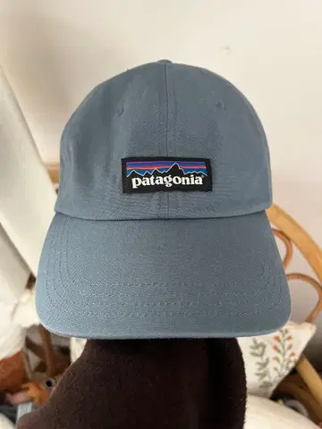 patagonia 야구 모자 블루