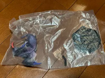 오오나즈치 스탠다드 모델 플러스