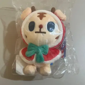 CRAVITY 란모 윈터쿠클