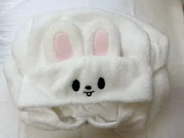 straykids 리빗 담요