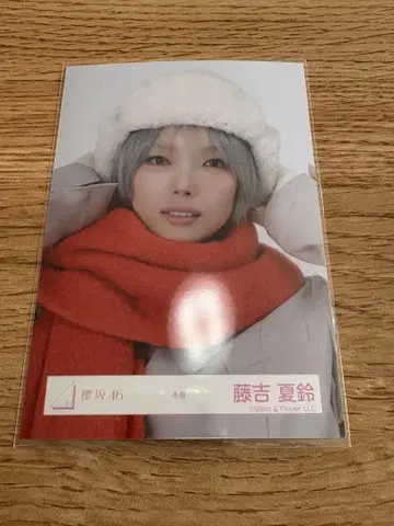 사쿠라자카46 후지요시 카린 겨울 의류 브로마이드 요리