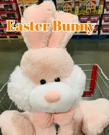 코스트코 초 빅 부활절 토끼 봉제 인형 핑크