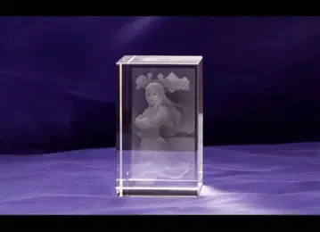 3d 크리스탈 피오나