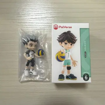 하이큐!! PalVerse 보쿠토 코타로