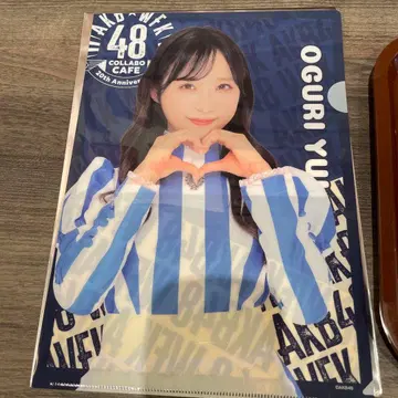 웬디즈 AKB 오구리 유이 클리어 파일