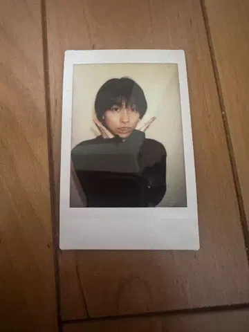 아오바 군 세이케 아오바 아오바 폴라로이드