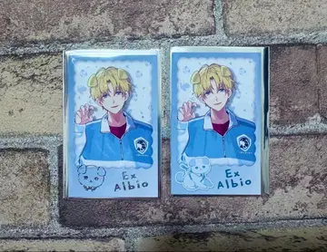 니지산지 원냥 days vol.2 엑스 알비오 폴라로이드