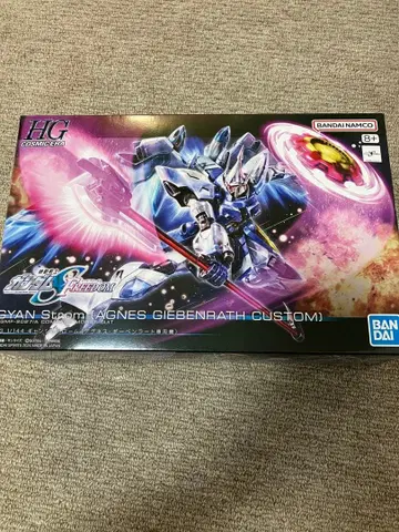 HG 걍 슈트롬 새상품 미개봉