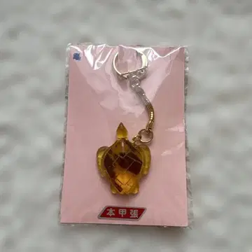 책갑옷 거북이 모양 키링