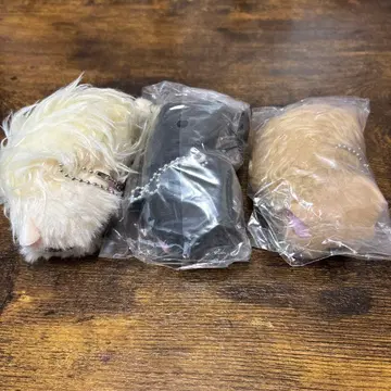 길들여지지 않는 고양이 봉제 인형 모음