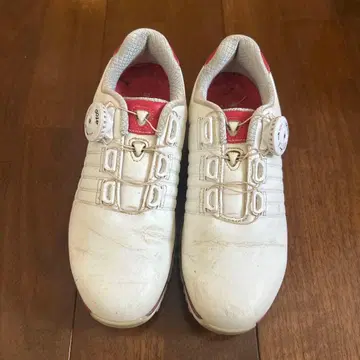 골프화 여성용 브릿지스톤 다이얼식