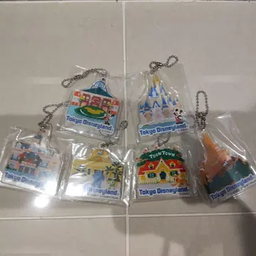 도쿄 디즈니랜드 아크릴 키링 6개 세트