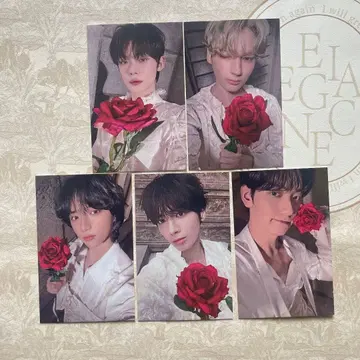 TXT 투바 tomorrow 사전 녹화 한국 트레이딩 카드 전원 5장