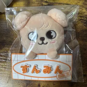 straykids 승민 퍼핌 네임 백참 TOYWORLD