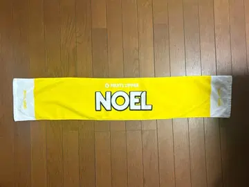 FRUITSZIPPER 하야세 노엘 최애 어필 타월