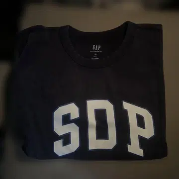 스차다라파 챔피온 카니발 GAP SOP 티셔츠 다크 네이비