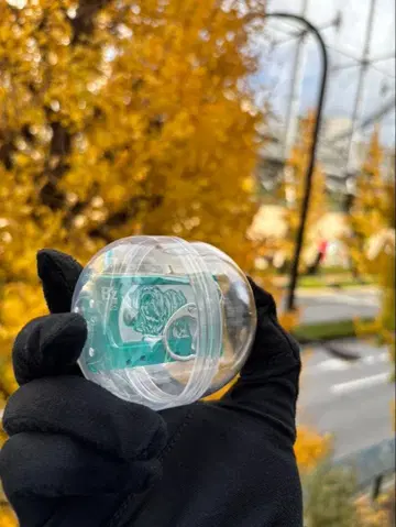 B'z LIVE-GYM 2025 -FYOP- 가챠 12/6 카세트 참