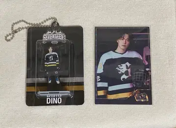 SEVENTEEN HOME 아크릴 키링 트레이딩 카드 디노