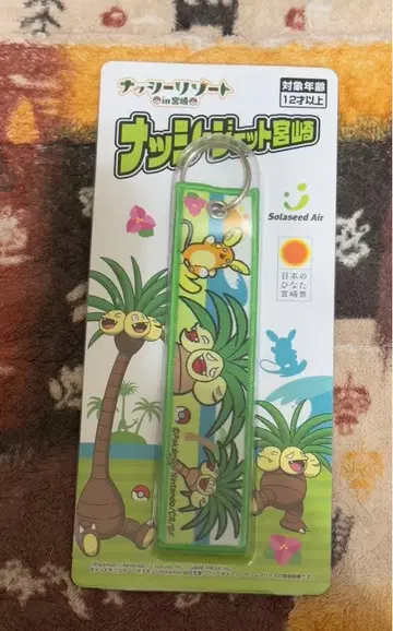 [ 미개봉 새상품 ] 소라시도 에어 기간 한정 낫시 플라이트 택