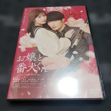 중고 DVD 오죠토 반켄쿤