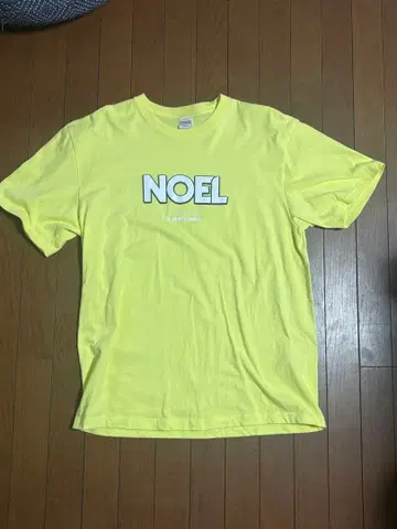 FRUITSZIPPER 하야세 노엘 최애 어필 T셔츠