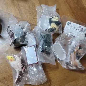 애니멀 어트랙션 거울을 들여다봐? 컴플리트 팬더 고릴라