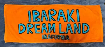 아다치 유토 드림랜드 타월