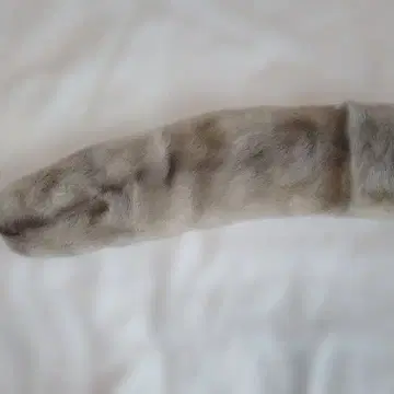 그레이 퍼 롱 스톨