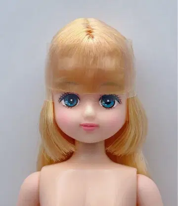 팔레트f 오타노시미 인형 리카짱 캐슬 리카짱 프렌드