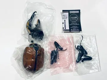 생물대도감 어드밴스 헤라클레스 옥시덴탈리스 골드 헤드ver.