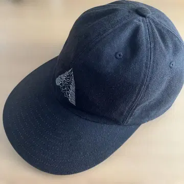 LAD MUSICIAN 조이 디비전 캡 호시노 겐 착용