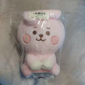 BT21 COOKY 정국 포근한 컬러 인형 트레바 한정판