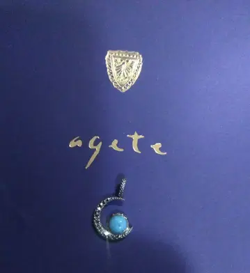 agate 아가트 문 다이아몬드 참 SV 실버 라리마