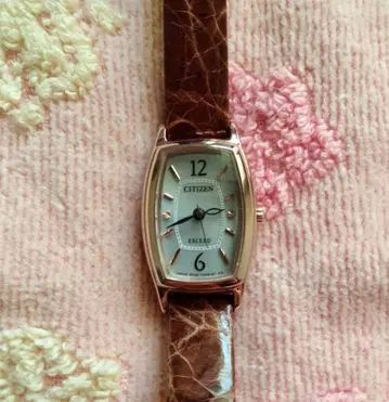 CITIZEN EXCEED 손목시계 엑시드 에코 드라이브