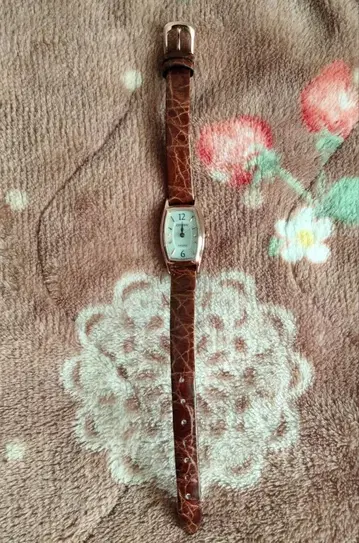 CITIZEN EXCEED 손목시계 엑시드 에코 드라이브